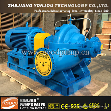 Single-Stage Double Suction Centrifugal Pump with SGS